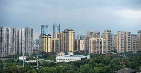 佛跳墙软件下载