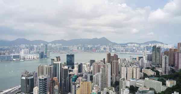 苹果免费梯子软件